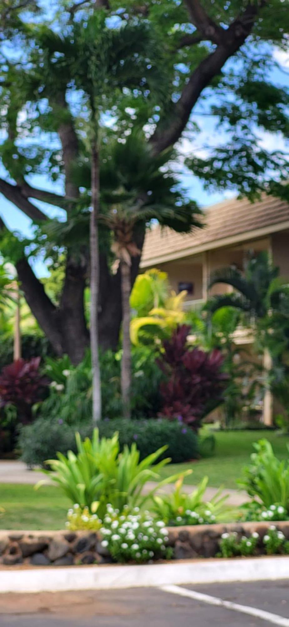 Kihei Kai Nani Resort Zewnętrze zdjęcie
