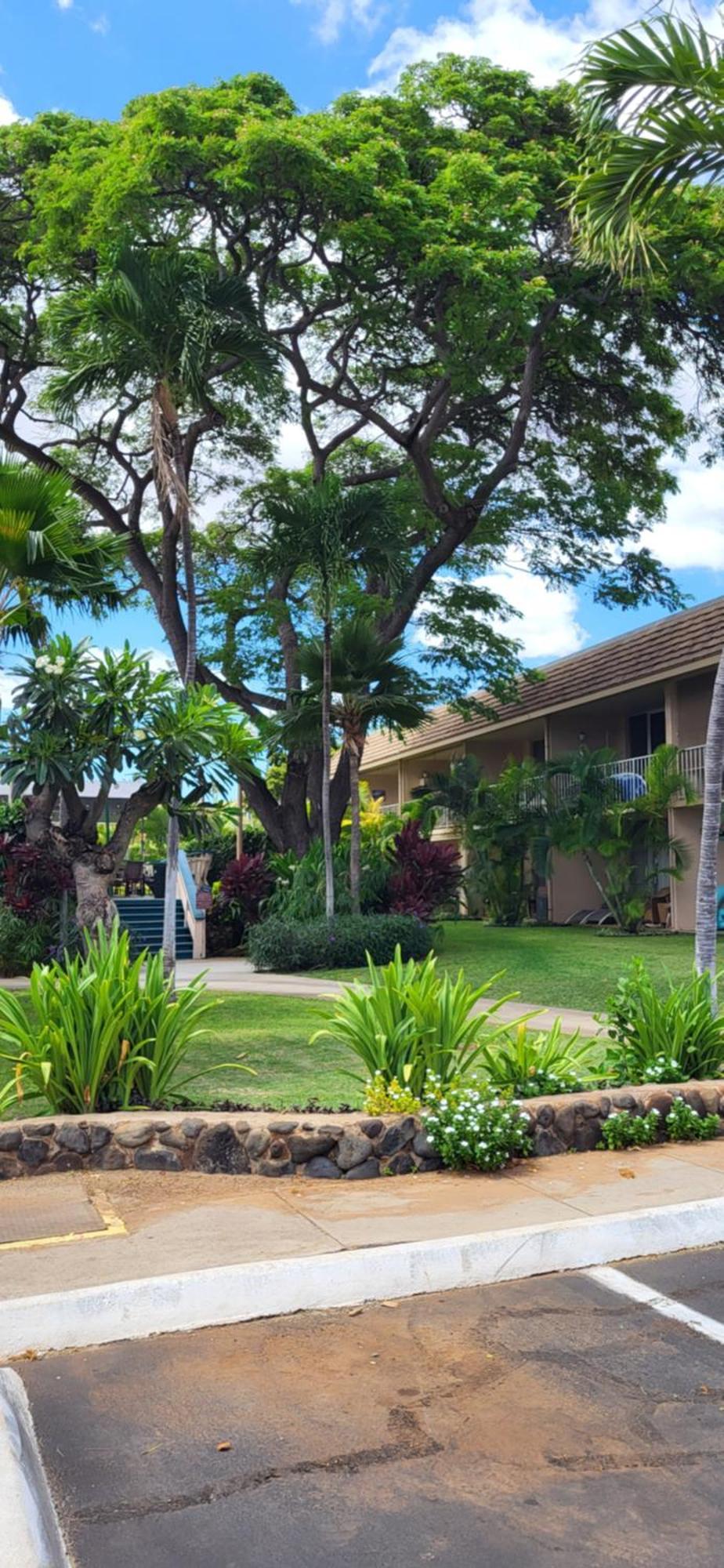 Kihei Kai Nani Resort Zewnętrze zdjęcie